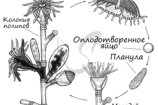 Кракен адрес супернет