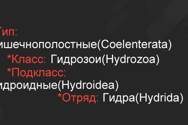 Kraken marketplace