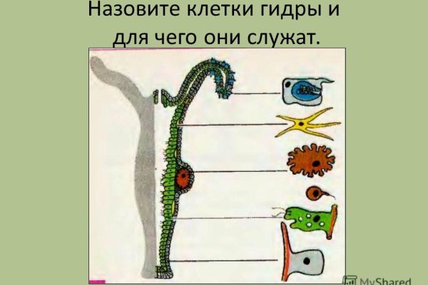 Кракен зеркала krk store com