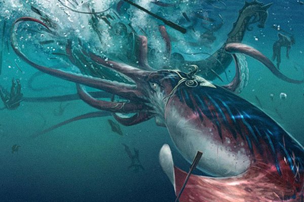 Kraken whitenet store