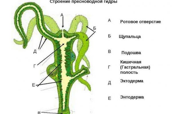 Что случилось с кракеном маркетплейс