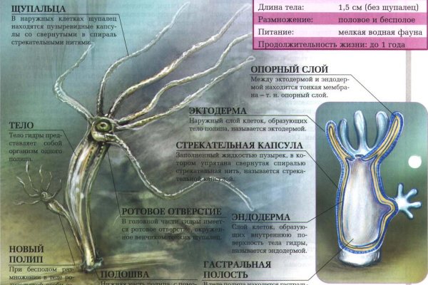 Кракен ссылка trikky
