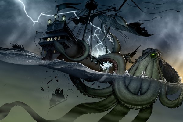 Kraken whitenet store
