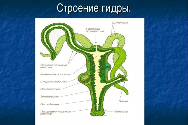 Кракен сегодня сайт зеркало